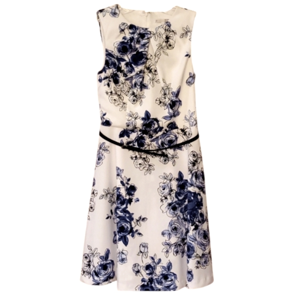 Signature Darby Womans White and Blue Floral Sleeveless A Line Dress Size 8